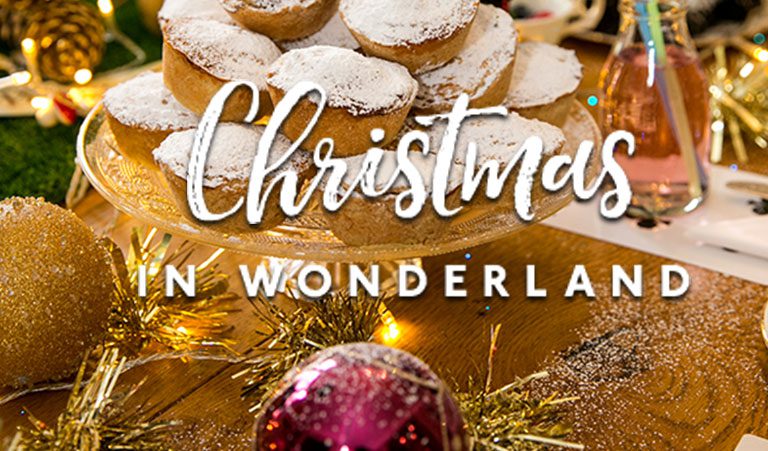 Christmas in Wonderland House